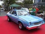 mini132